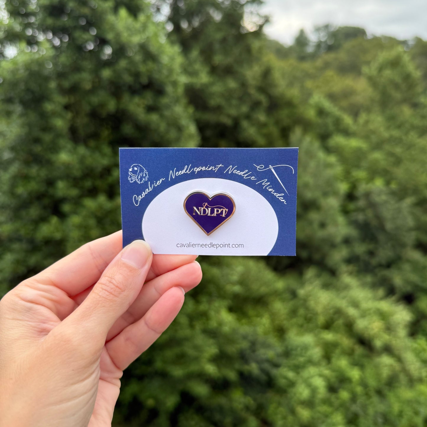 NDLPT Needle Minder