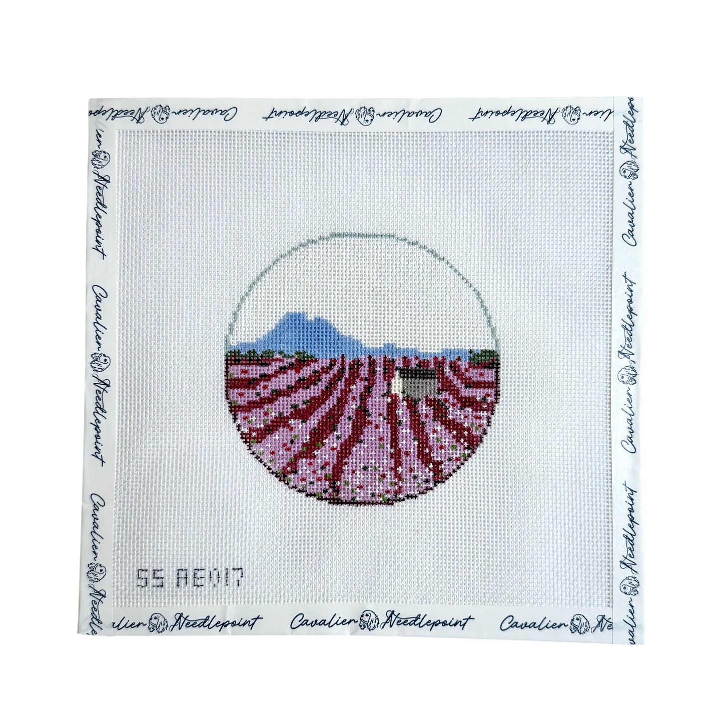 Provence Lavender Field