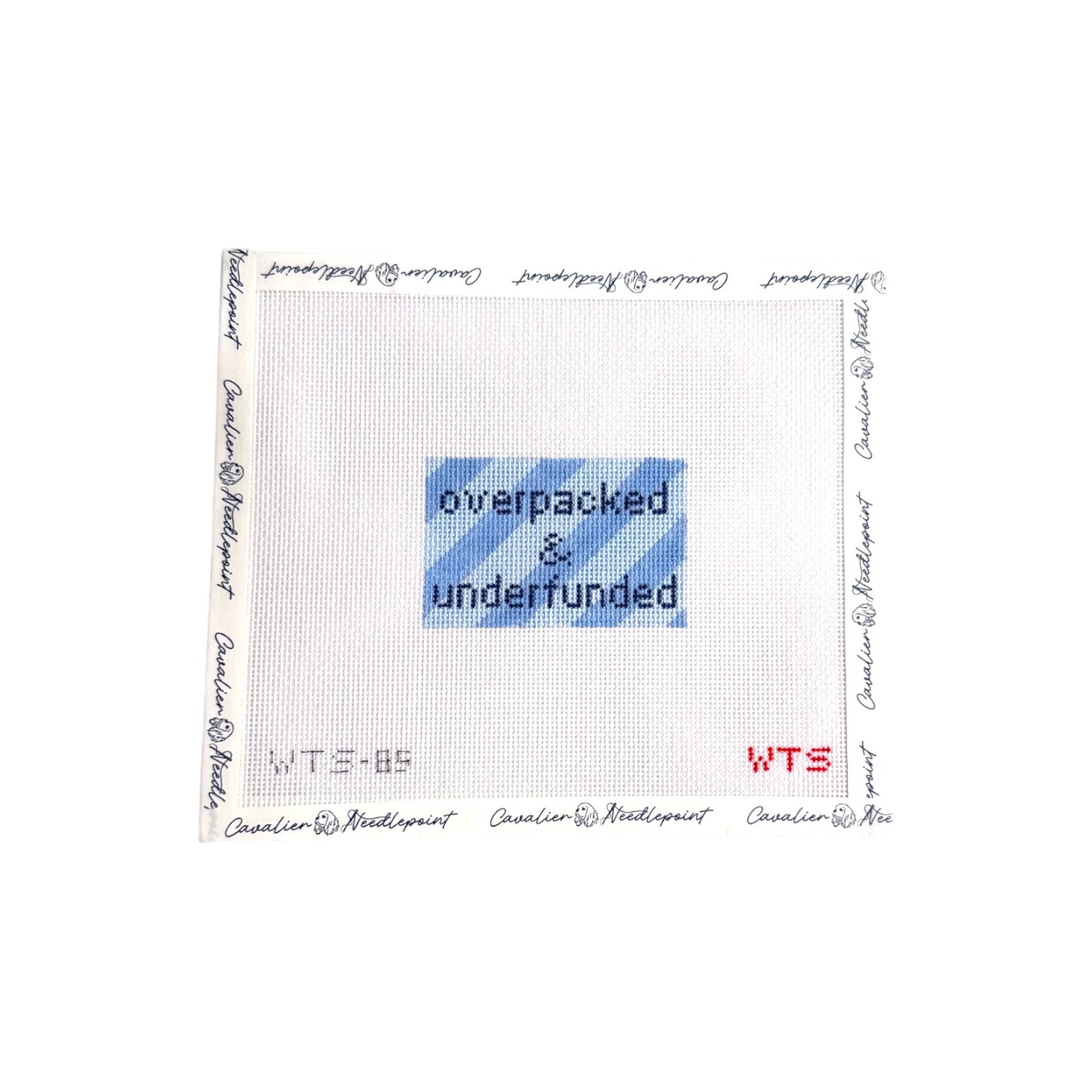 Overpacked and Underfunding Luggage Tag