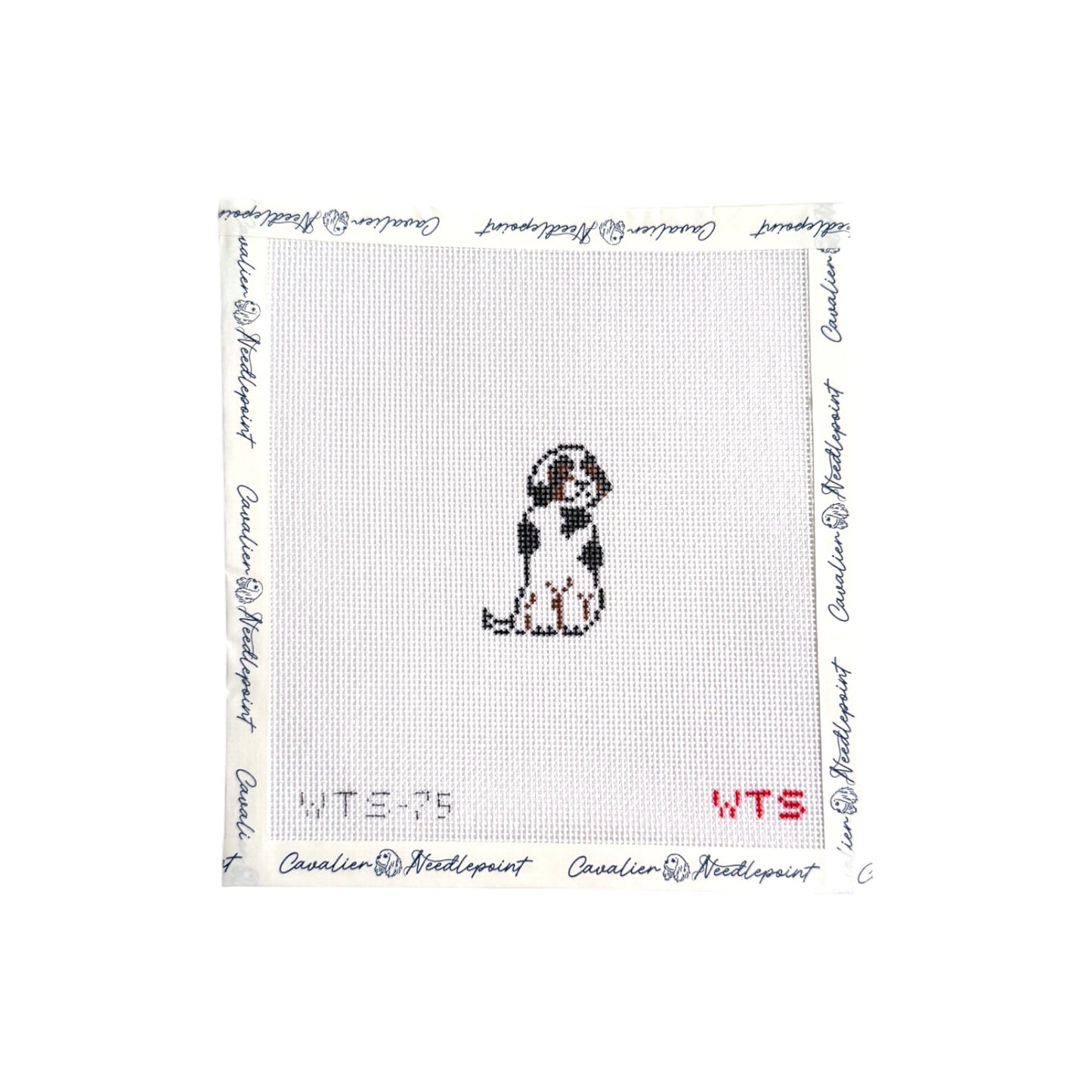 Tri-Color Mini Cavalier