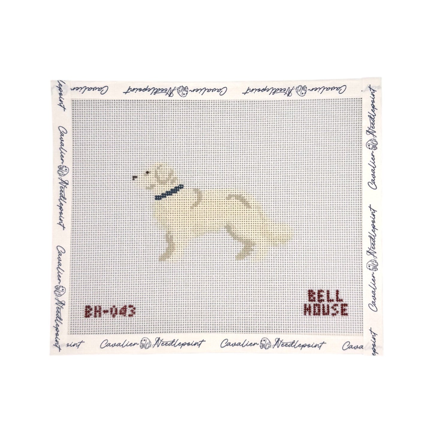 English Cream Golden Retriever