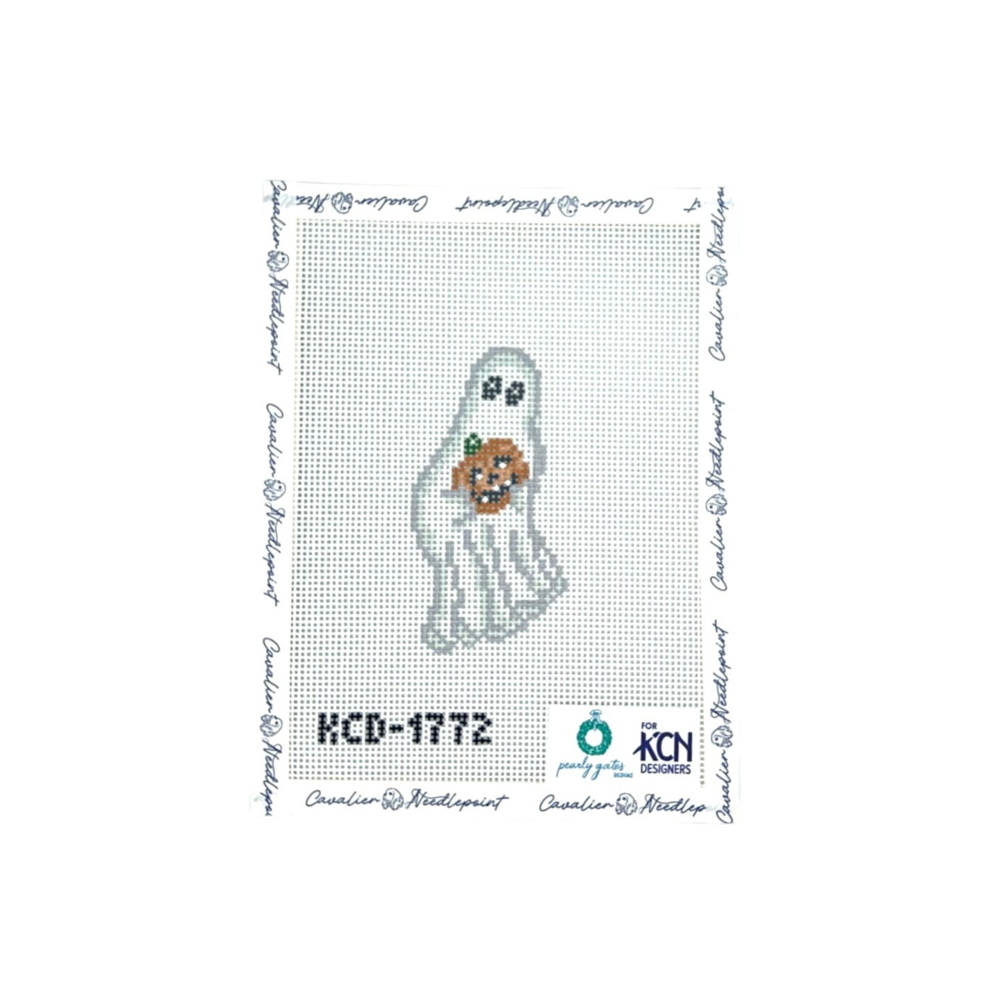 Boy Ghost