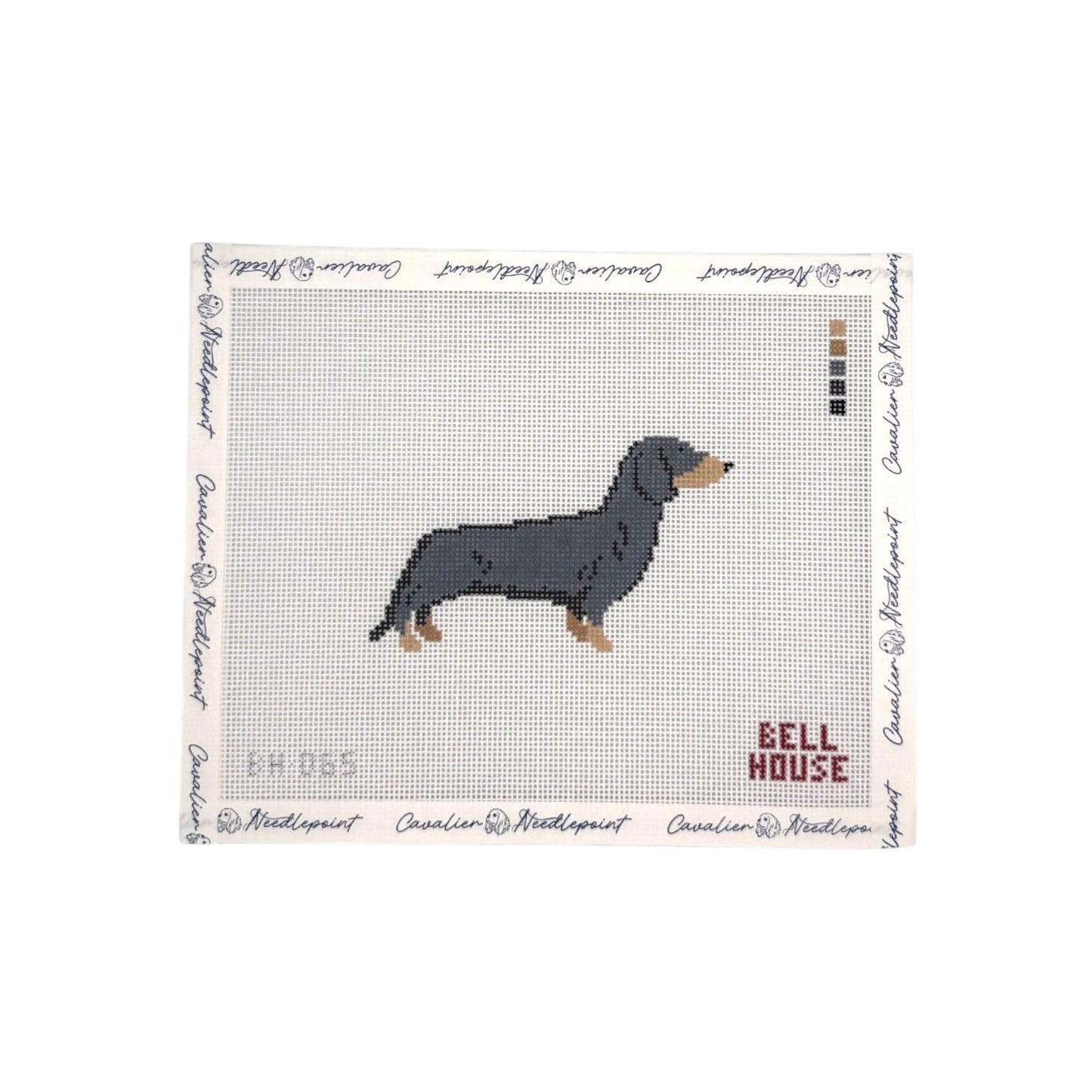 Black & Tan Dachshund