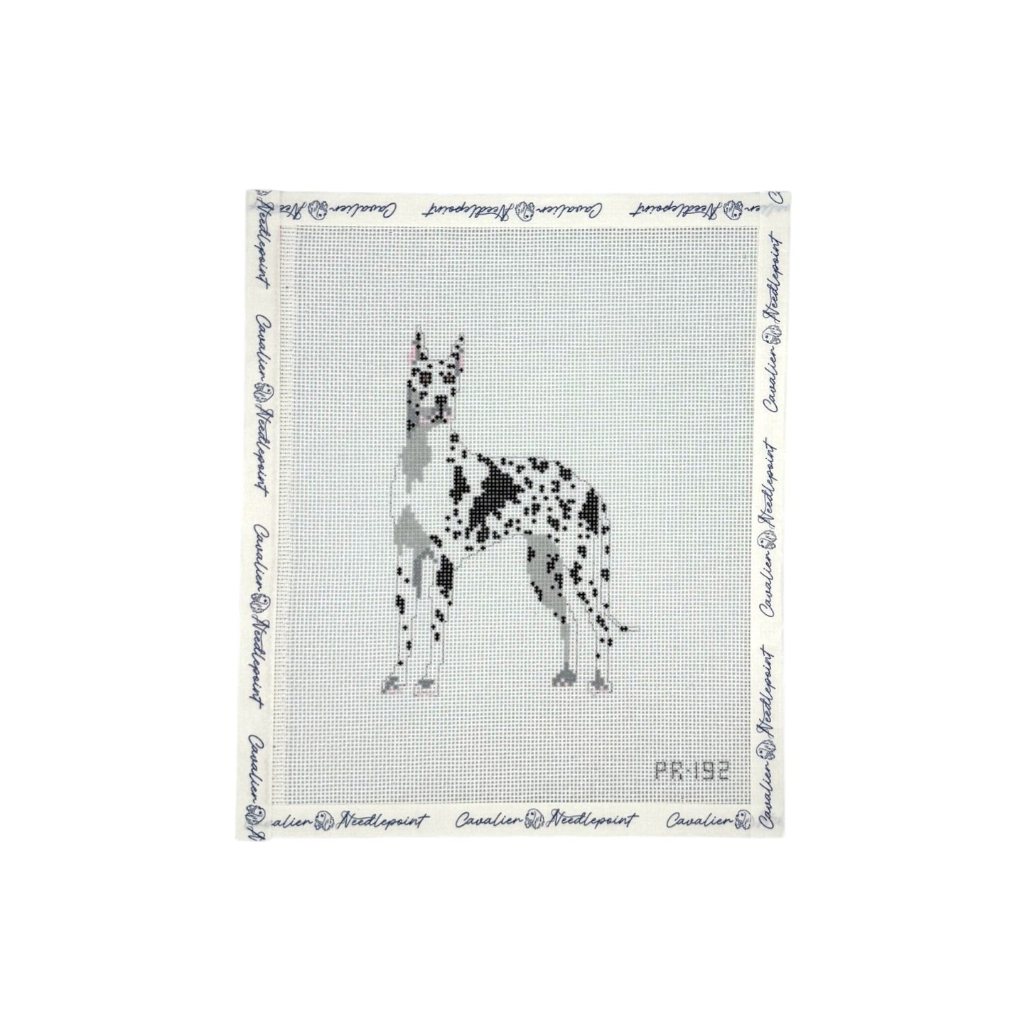 Harlequin Great Dane