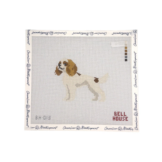 White and Brown Cavalier