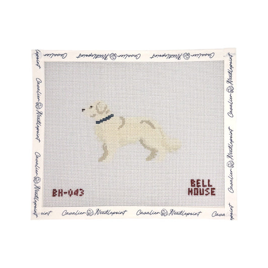 English Cream Golden Retriever