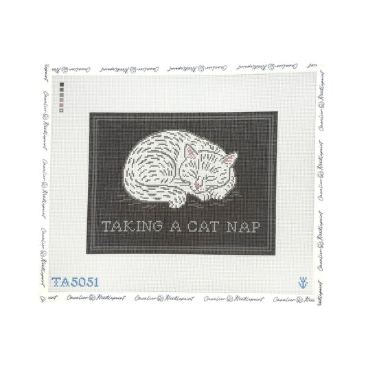 Taking a Cat Nap