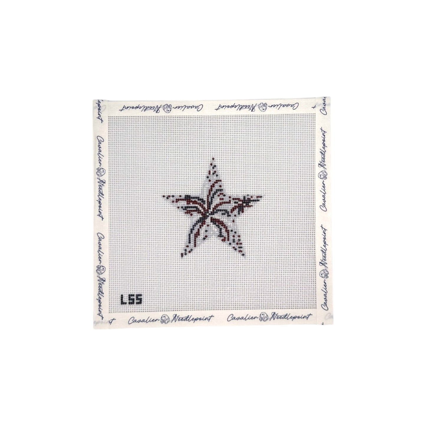 Fourth of July Firework Star