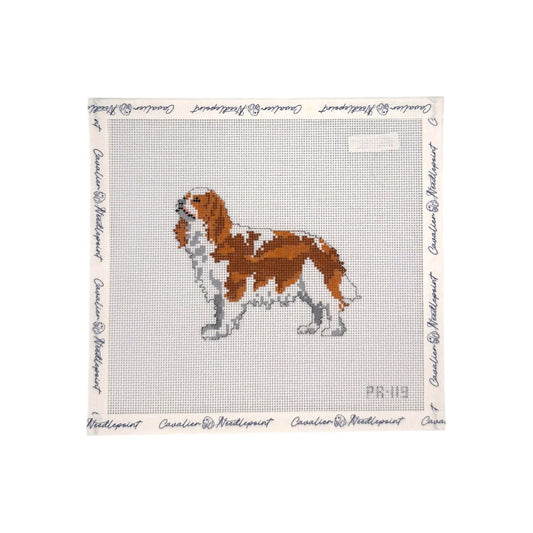 King Charles Spaniel