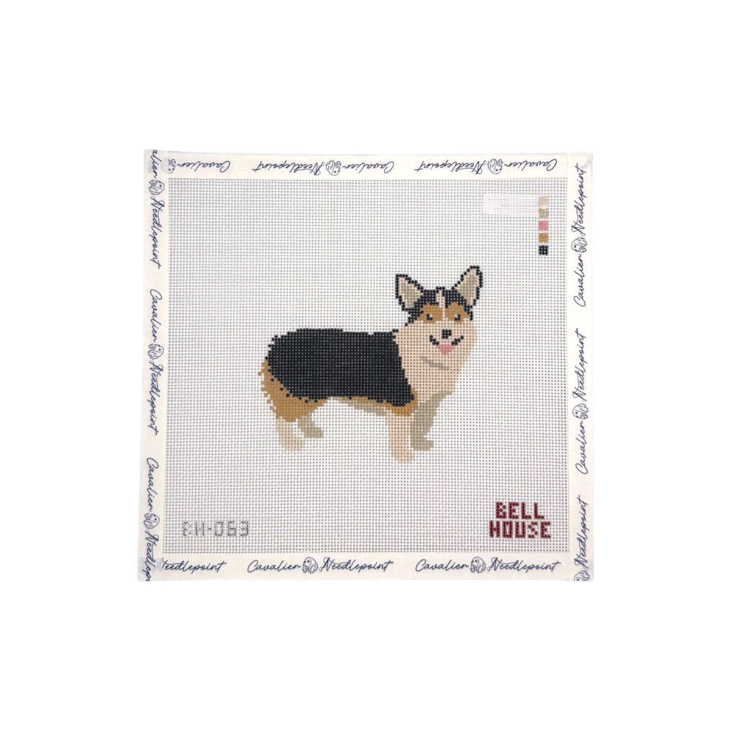 Tricolor Corgi