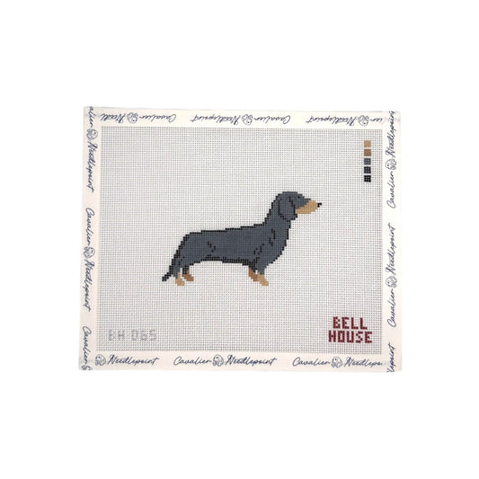 Black & Tan Dachshund