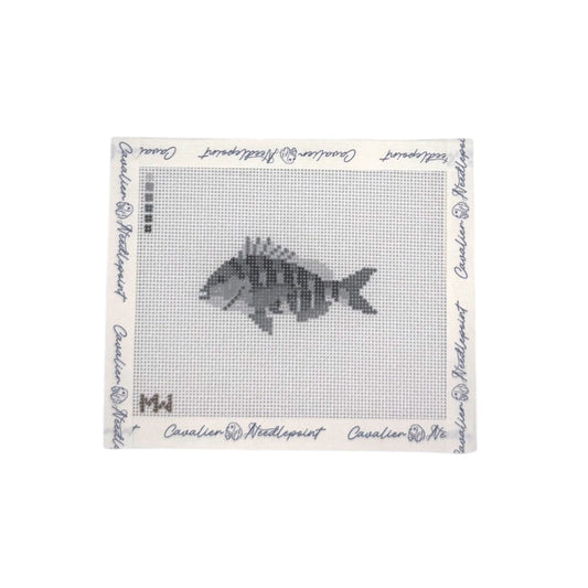 Sheepshead