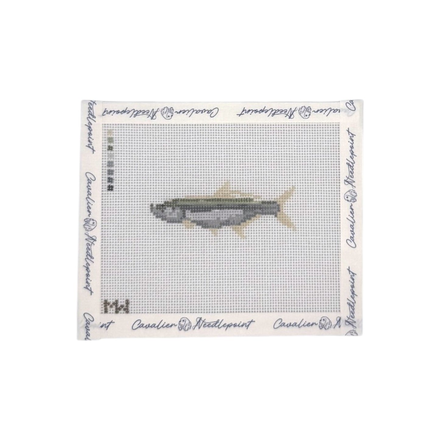 Tarpon