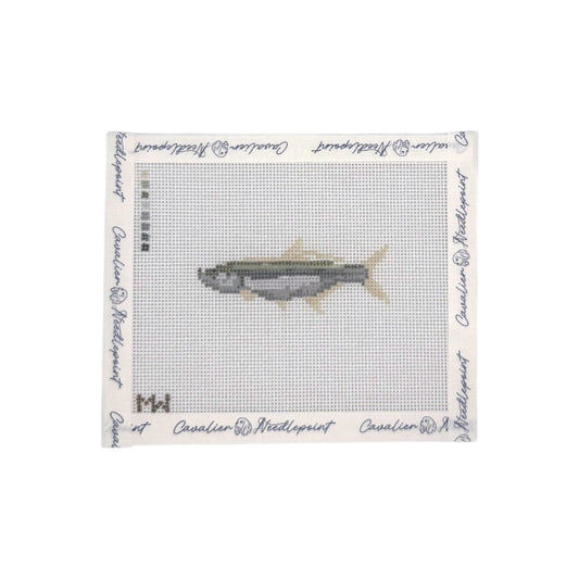 Tarpon