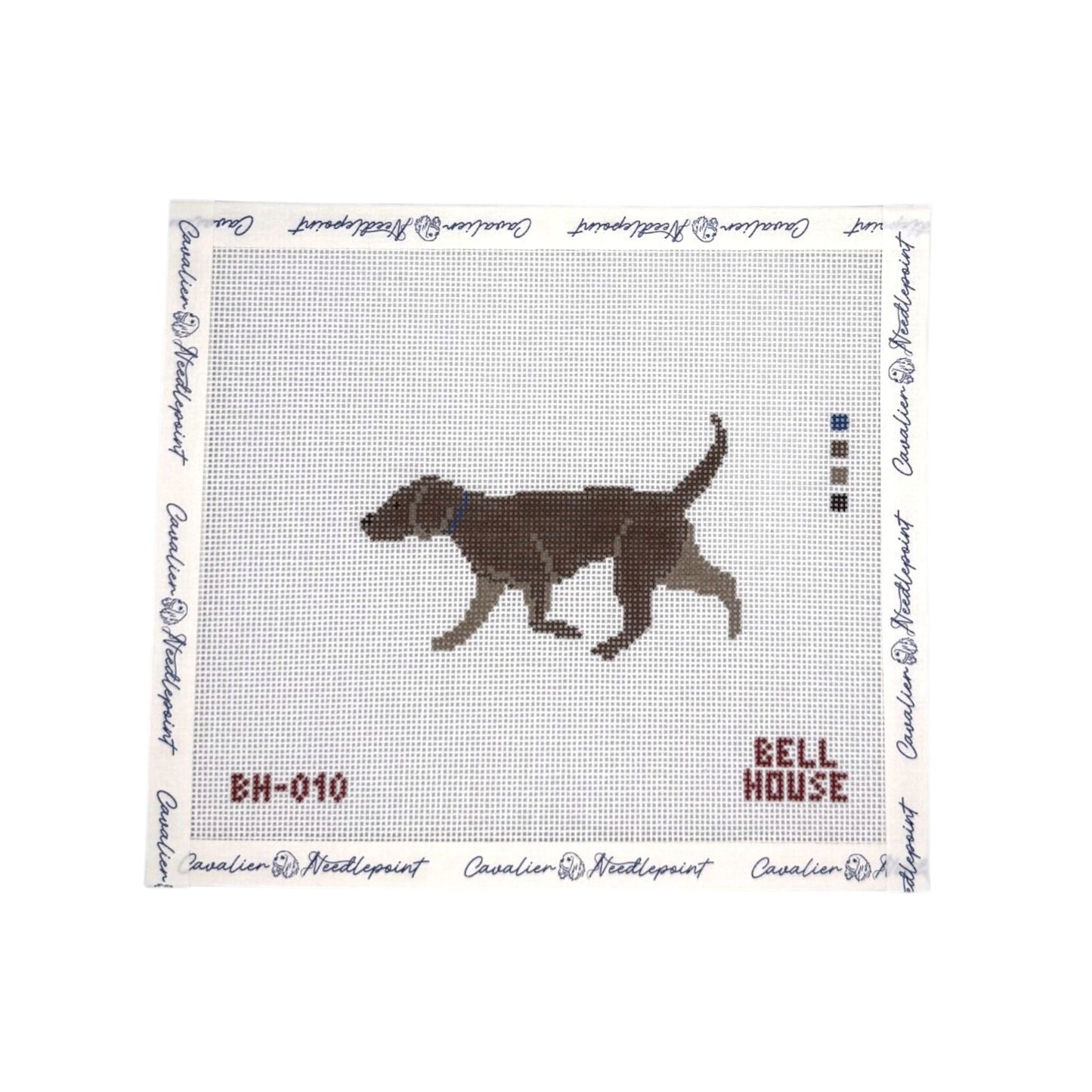 Chocolate Lab