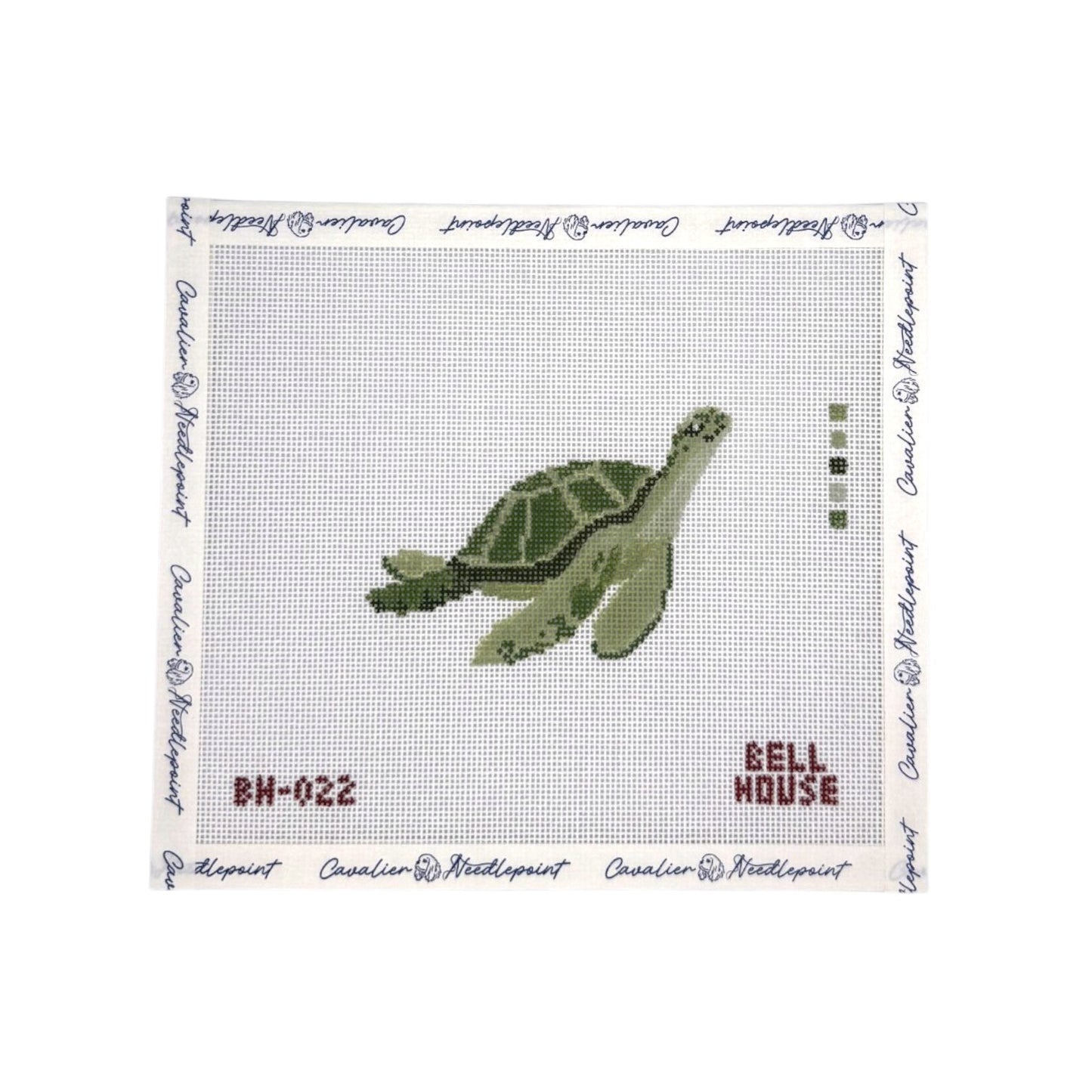 Sea Turtle