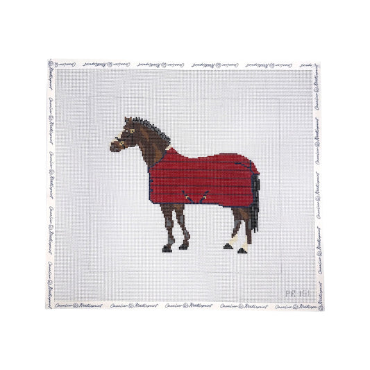 Brown Horse with Red Blanket