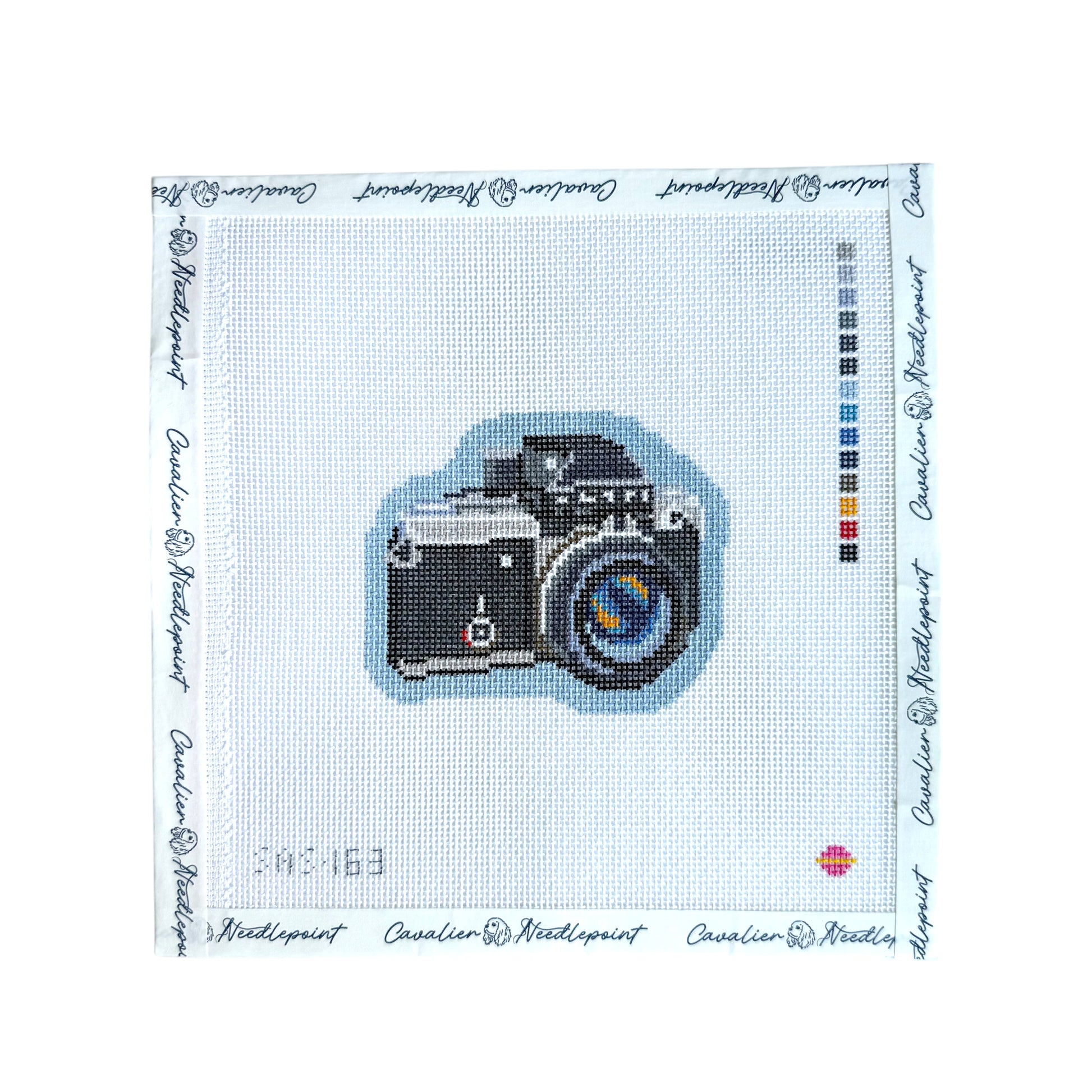 SLR Camera