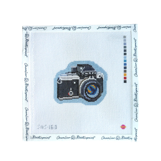 SLR Camera